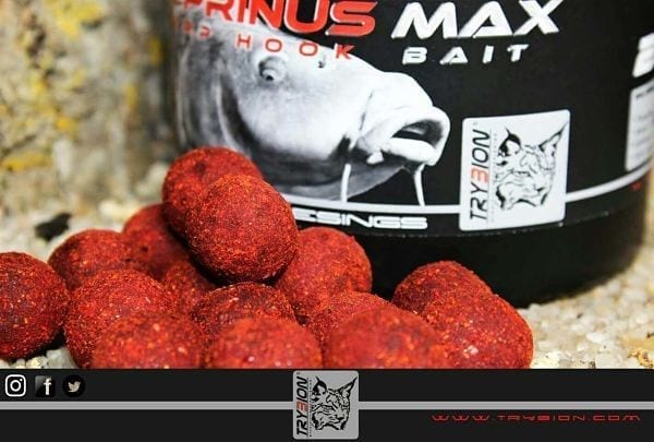 HOOK BAITS CYPRINUS MAX 20MM 220GR TRYBION