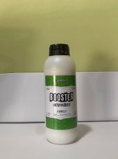 BOOSTER PIA COLADA SUPERBAITS 1L.