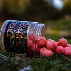 HOOK BAITS