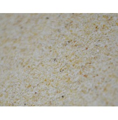 GARLIC POWDER 500GR MASSIVE BAITS
