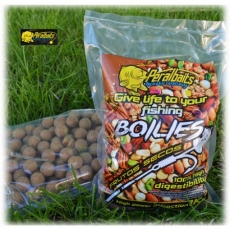 BOILIES FRUTOS SECOS 20MM PERALBAITS.